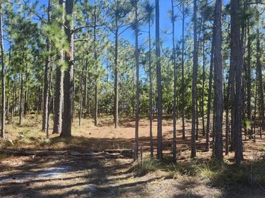 Lot 303 Mission Road , Southport, NC 28461