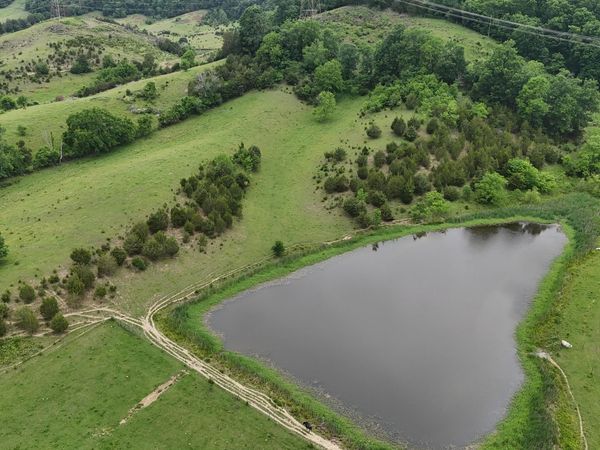 Tbd Webster Valley Road, Rogersville, TN 37857