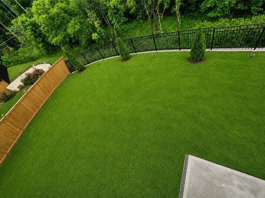 Property Image 74