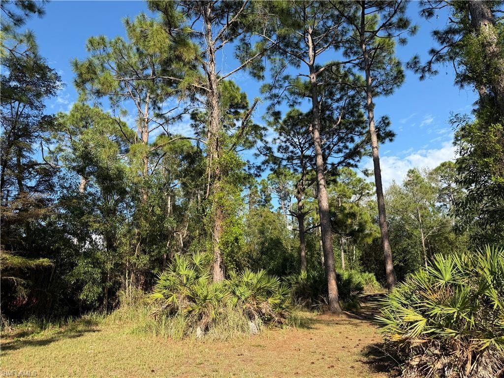 17090 Shady Grove Ln, Cape Coral, FL 33909 Photo