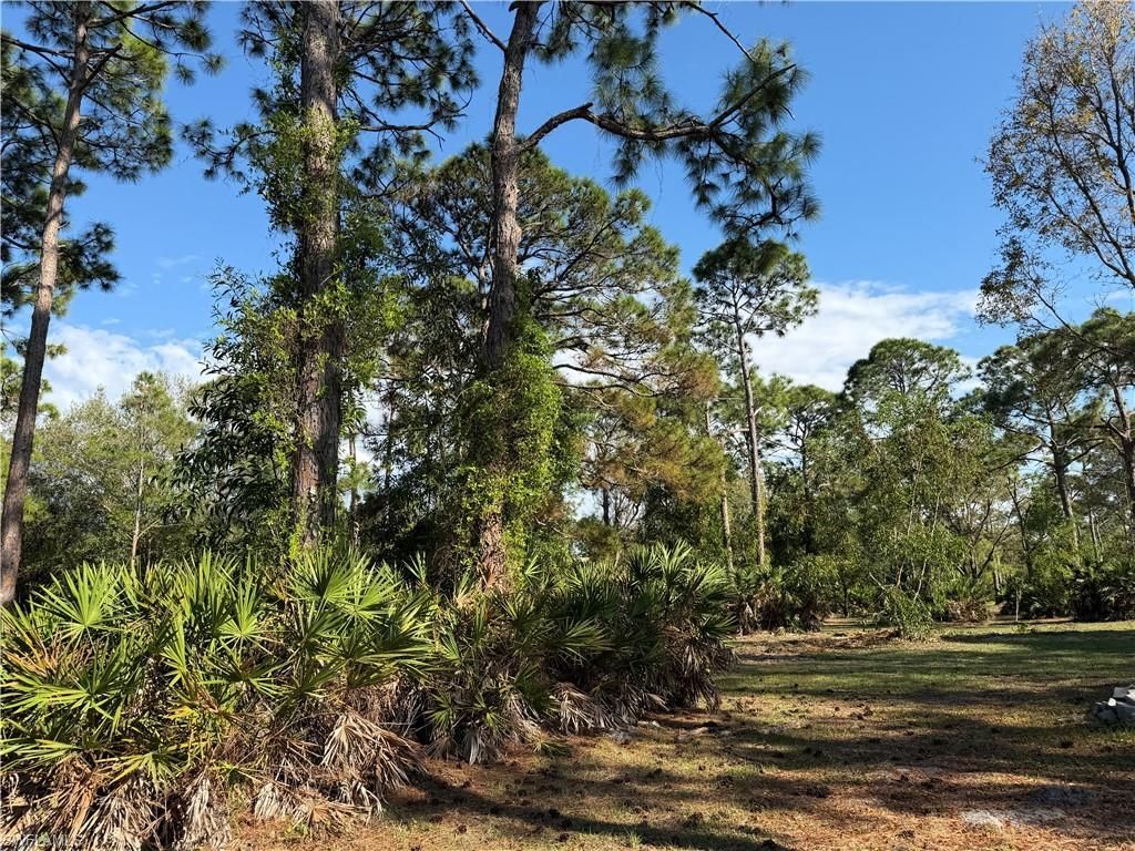 17090 Shady Grove Ln, Cape Coral, FL 33909 Photo