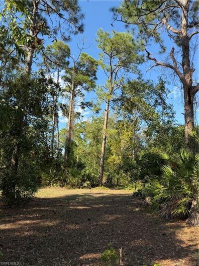 17090 Shady Grove Ln, Cape Coral, FL 33909 Photo