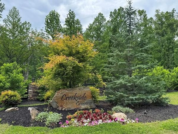 197 Blalock Mountain Court, Talking Rock, GA 30175