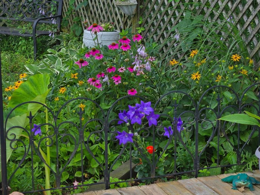 Property Image 44