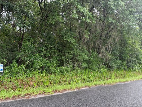 241 DOG BRANCH ROAD , EAST PALATKA, FL 32131