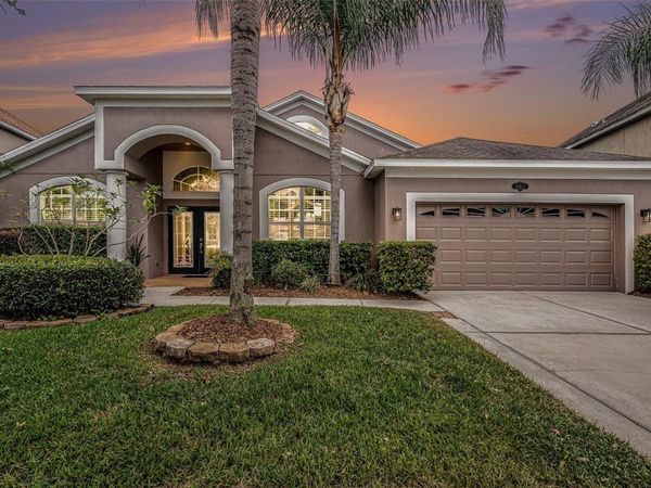 20017 PAINTING NATURE LANE , TAMPA, FL 33647