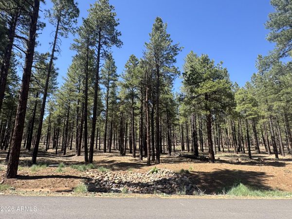 7690 W TAYLOR SPRINGS Lane, Unit 63, Flagstaff, AZ 86001