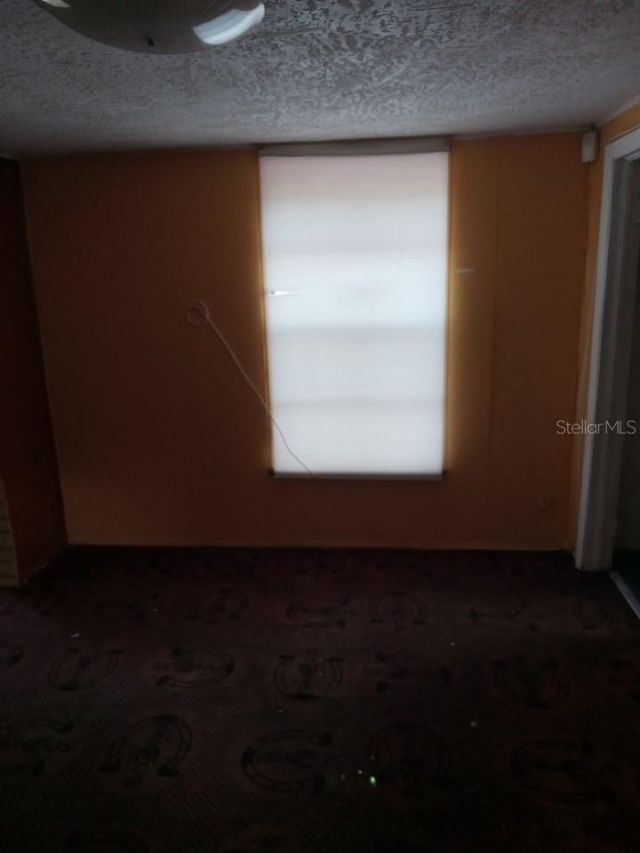 1123 29th Street S, Saint Petersburg, FL 33712 Photo