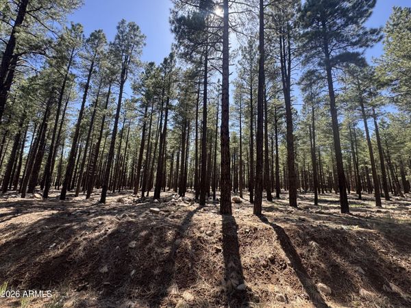 9576 RANCH AT THE PEAKS Way, Unit 66, Flagstaff, AZ 86001