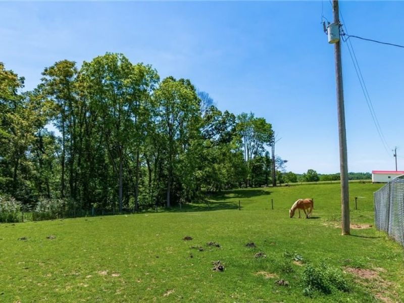 7370 Adamsville Road, Adamsville, OH 43802 Photo 35