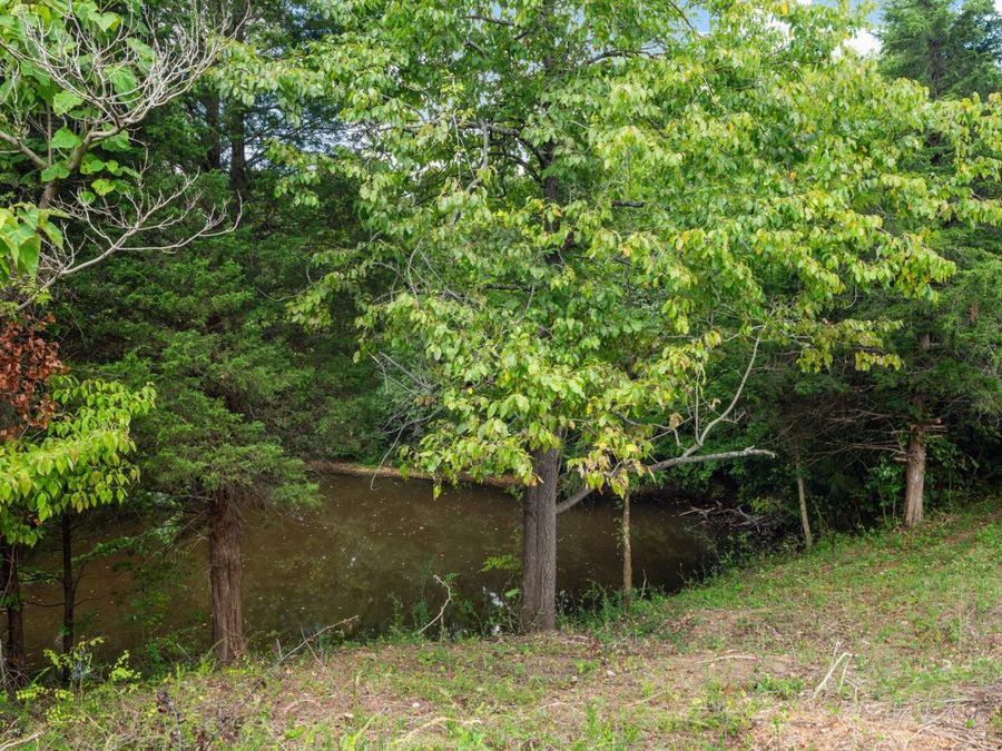 Property Image 46