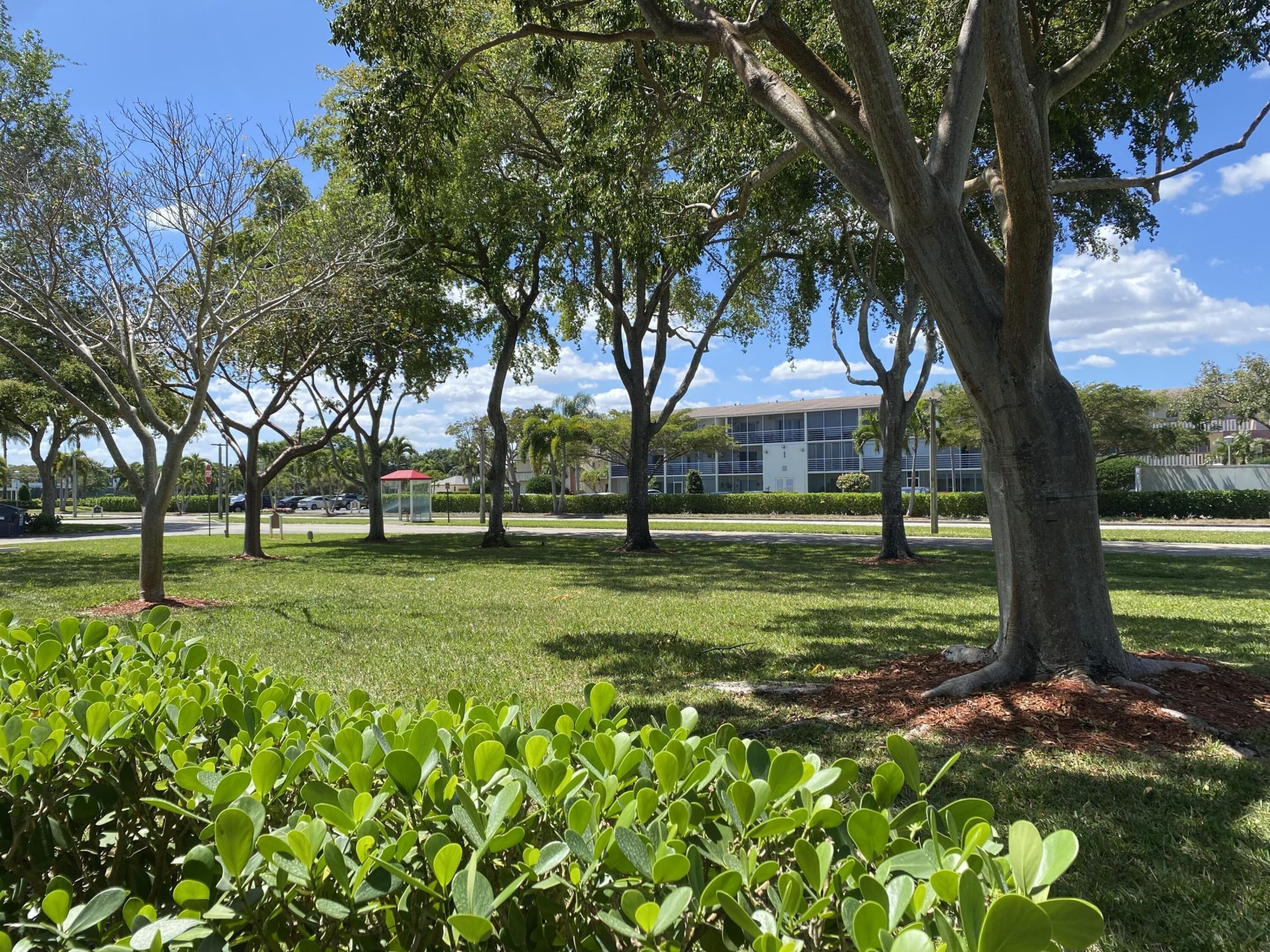 256 Mansfield, Unit G, Boca Raton, FL 33434 Photo