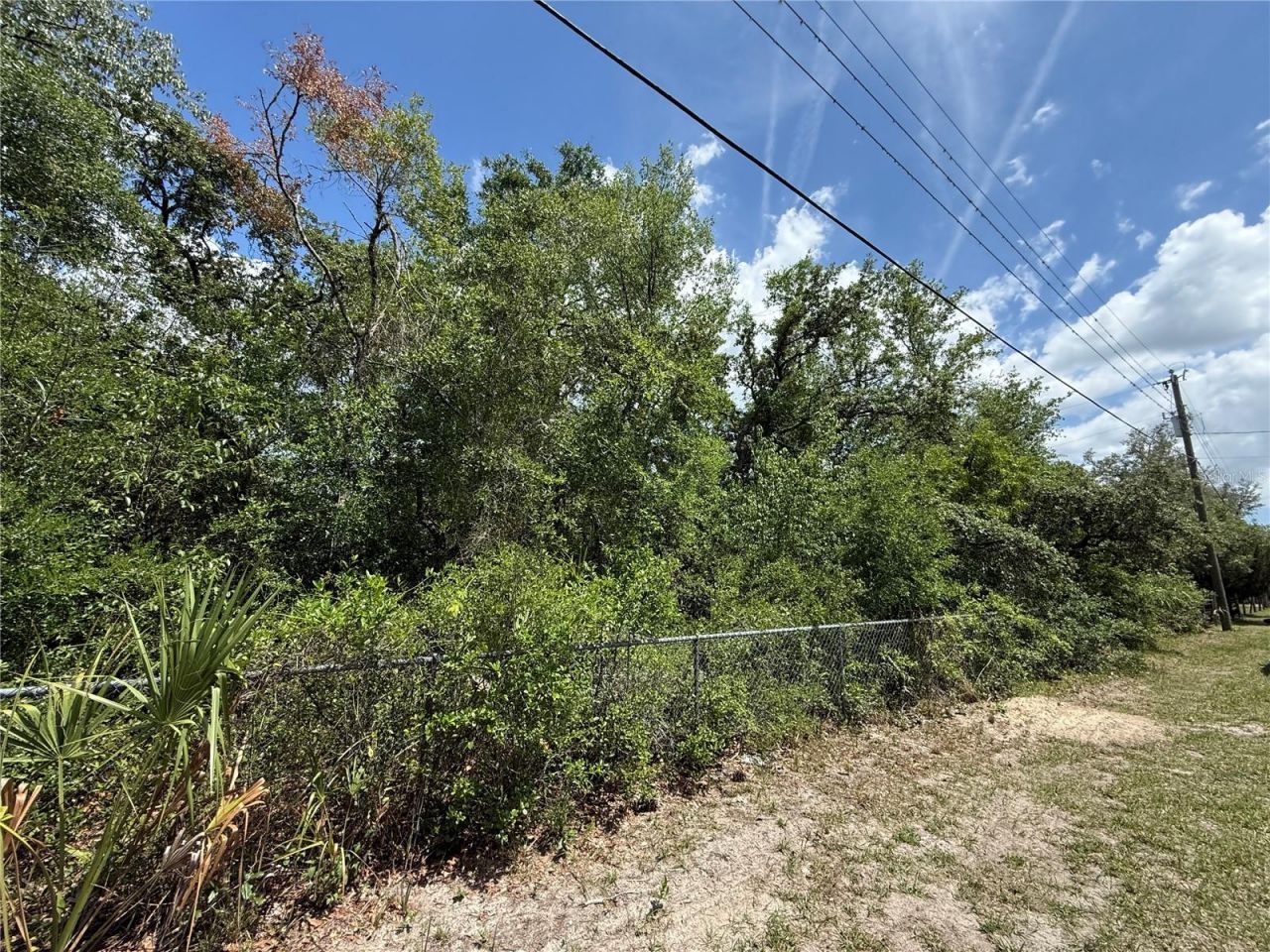 11748 Turkey Lane , New Port Richey, FL 34654 Main Photo