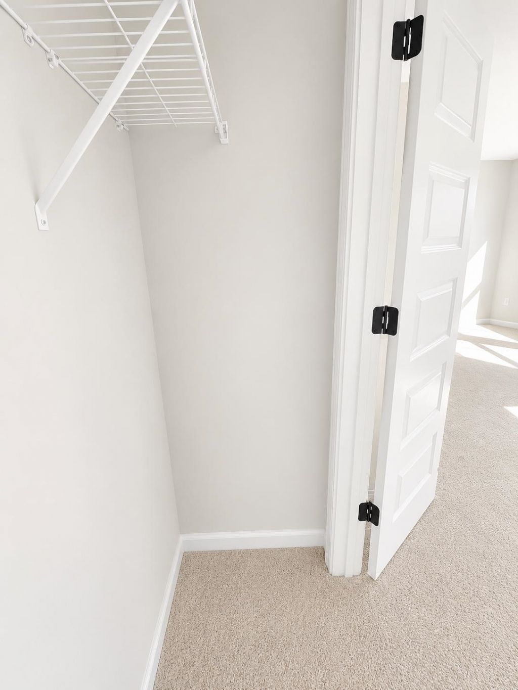 1208 Blueback Herring Way  Photo 21