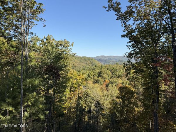 1 Mule , Sevierville, TN 37862