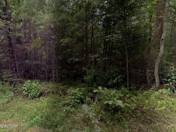 Gladys Rd , Deer Lodge, TN 37726
