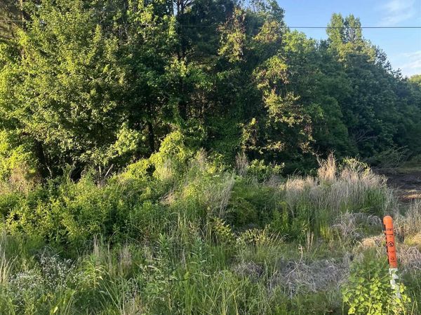 Lot 41 Sherwood Forest , Monticello, AR 71655