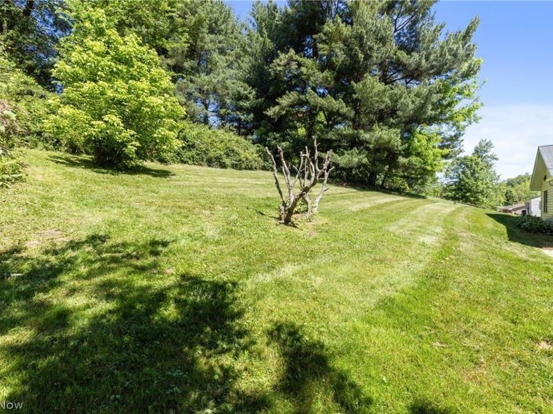 71660 Sunny Acres Drive, Martins Ferry, OH 43935 Photo 29