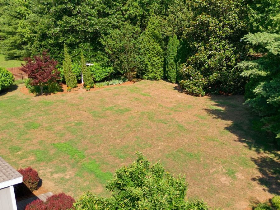Property Image 81