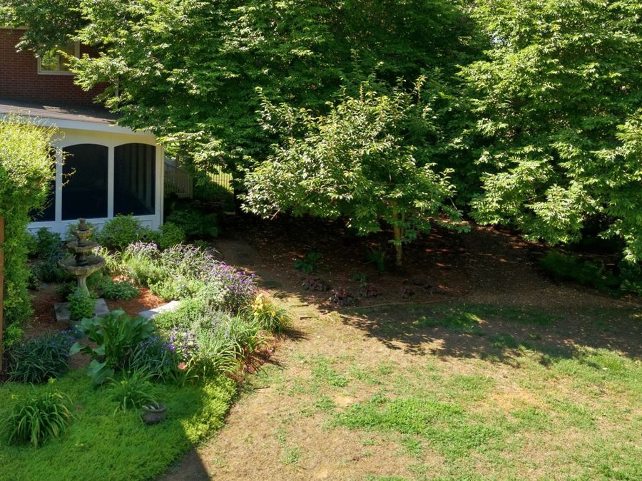 Property Image 83