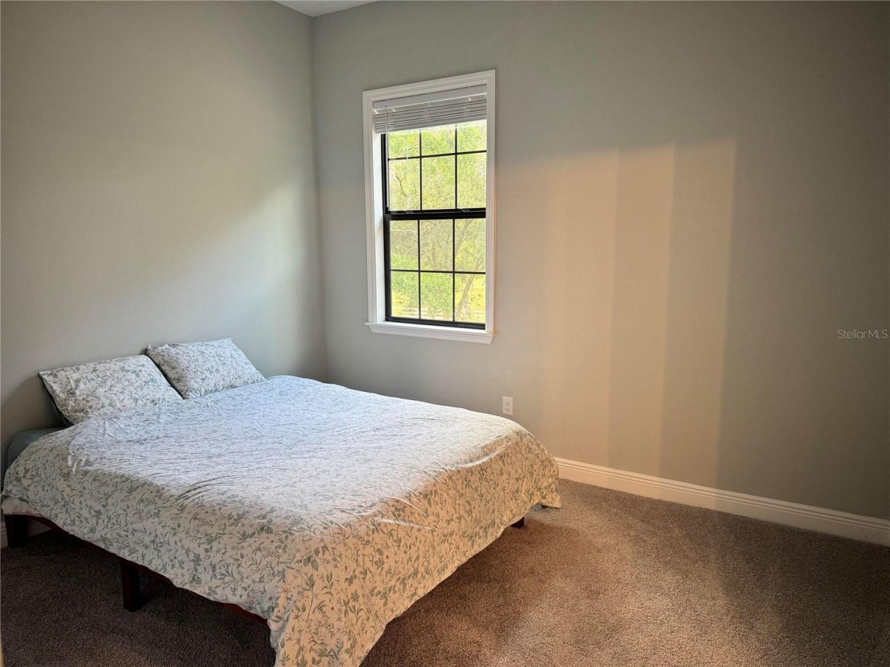 2730 Robertson, Lutz, FL 33559 Photo