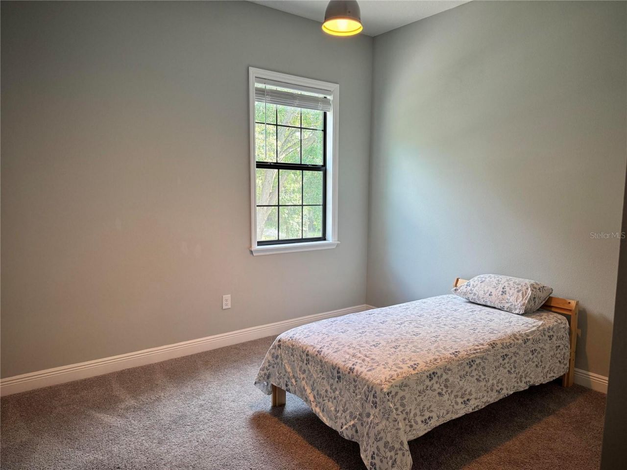 2730 Robertson, Lutz, FL 33559 Photo
