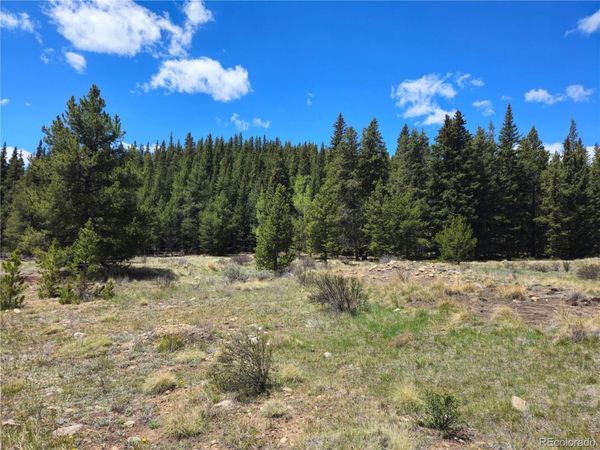 Looney Lane , Fairplay, CO 80440