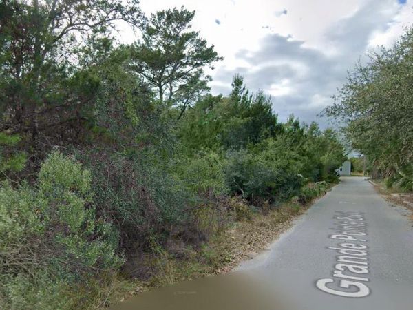 # Holly Leaf Lane, Inlet Beach, FL 32461