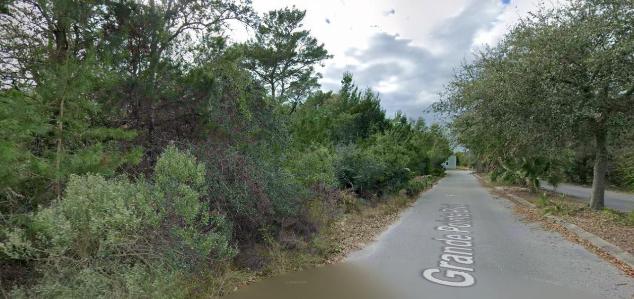 # Holly Leaf Lane, Inlet Beach, FL 32461 Main Photo