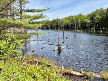 0 Maples Road , Milford, NY 13348