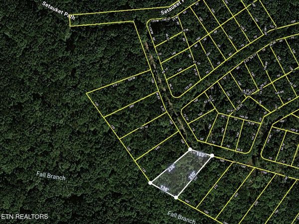 Blackfoot Tr, Crab Orchard, TN 37723