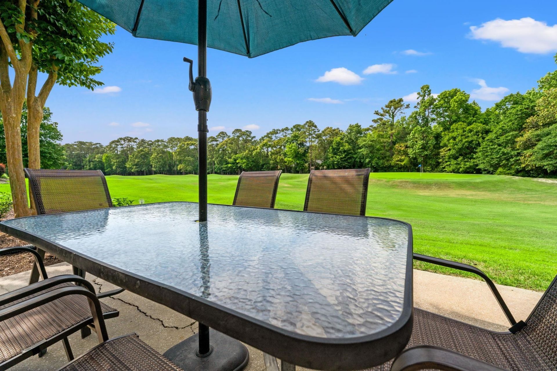 4654 Fringetree Dr.  Photo 62