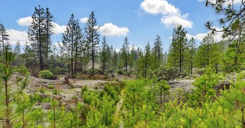 13751 Sailor Flat Rd, Nevada City, CA 95959 Photo