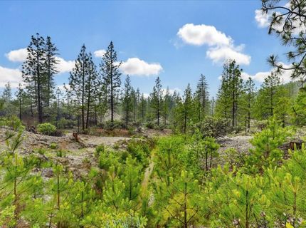 13751 Sailor Flat Rd, Nevada City, CA 95959 Photo