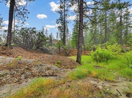 13751 Sailor Flat Rd, Nevada City, CA 95959 Photo