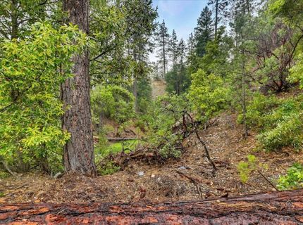 13751 Sailor Flat Rd, Nevada City, CA 95959 Photo