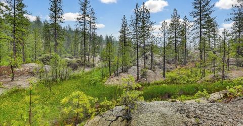 13751 Sailor Flat Rd, Nevada City, CA 95959 Photo