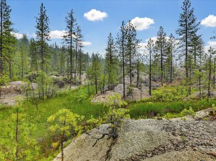 13751 Sailor Flat Rd, Nevada City, CA 95959 Photo