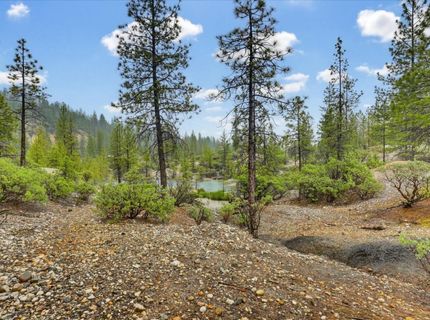 13751 Sailor Flat Rd, Nevada City, CA 95959 Photo