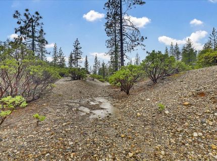 13751 Sailor Flat Rd, Nevada City, CA 95959 Photo