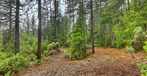 13751 Sailor Flat Rd, Nevada City, CA 95959 Photo