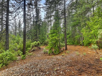 13751 Sailor Flat Rd, Nevada City, CA 95959 Photo