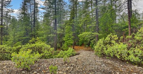 13751 Sailor Flat Rd, Nevada City, CA 95959 Photo