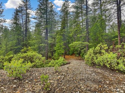 13751 Sailor Flat Rd, Nevada City, CA 95959 Photo