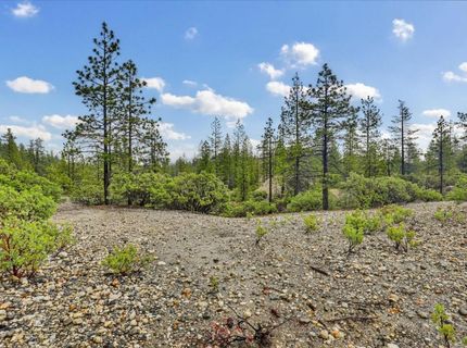 13751 Sailor Flat Rd, Nevada City, CA 95959 Photo