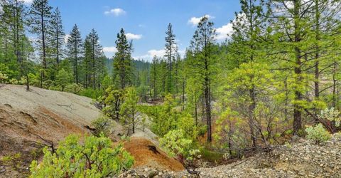 13751 Sailor Flat Rd, Nevada City, CA 95959 Photo