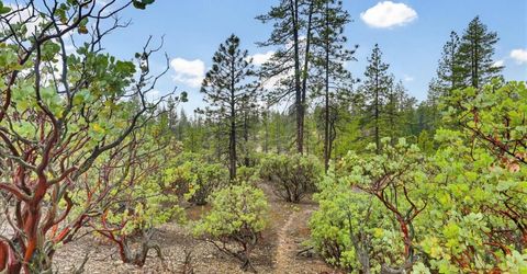 13751 Sailor Flat Rd, Nevada City, CA 95959 Photo