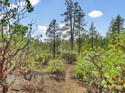 13751 Sailor Flat Rd, Nevada City, CA 95959 Photo
