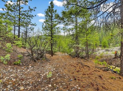 13751 Sailor Flat Rd, Nevada City, CA 95959 Photo