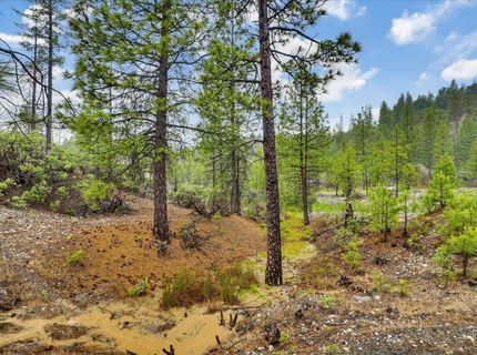 13751 Sailor Flat Rd, Nevada City, CA 95959 Photo